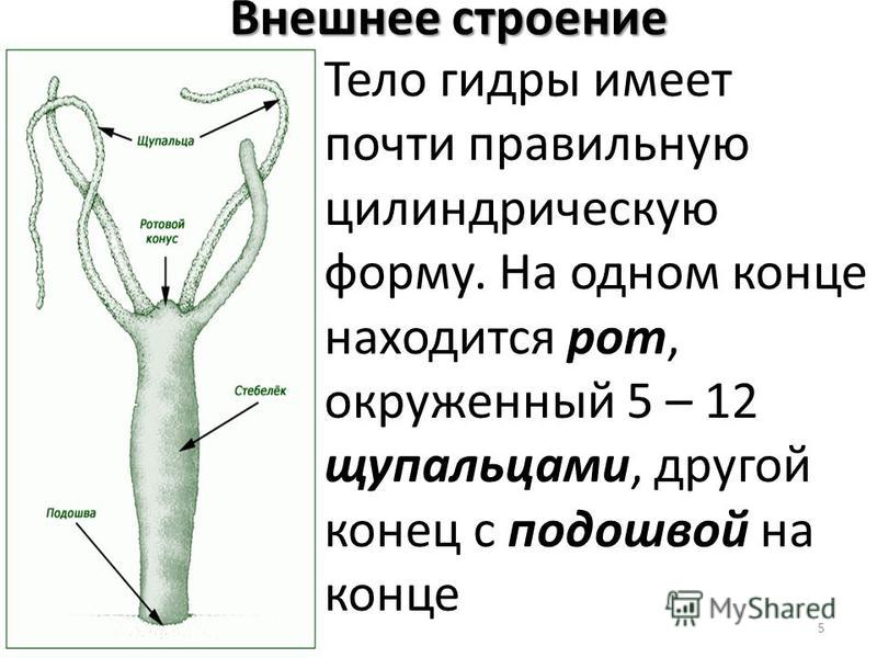 Кракен зайти зеркало